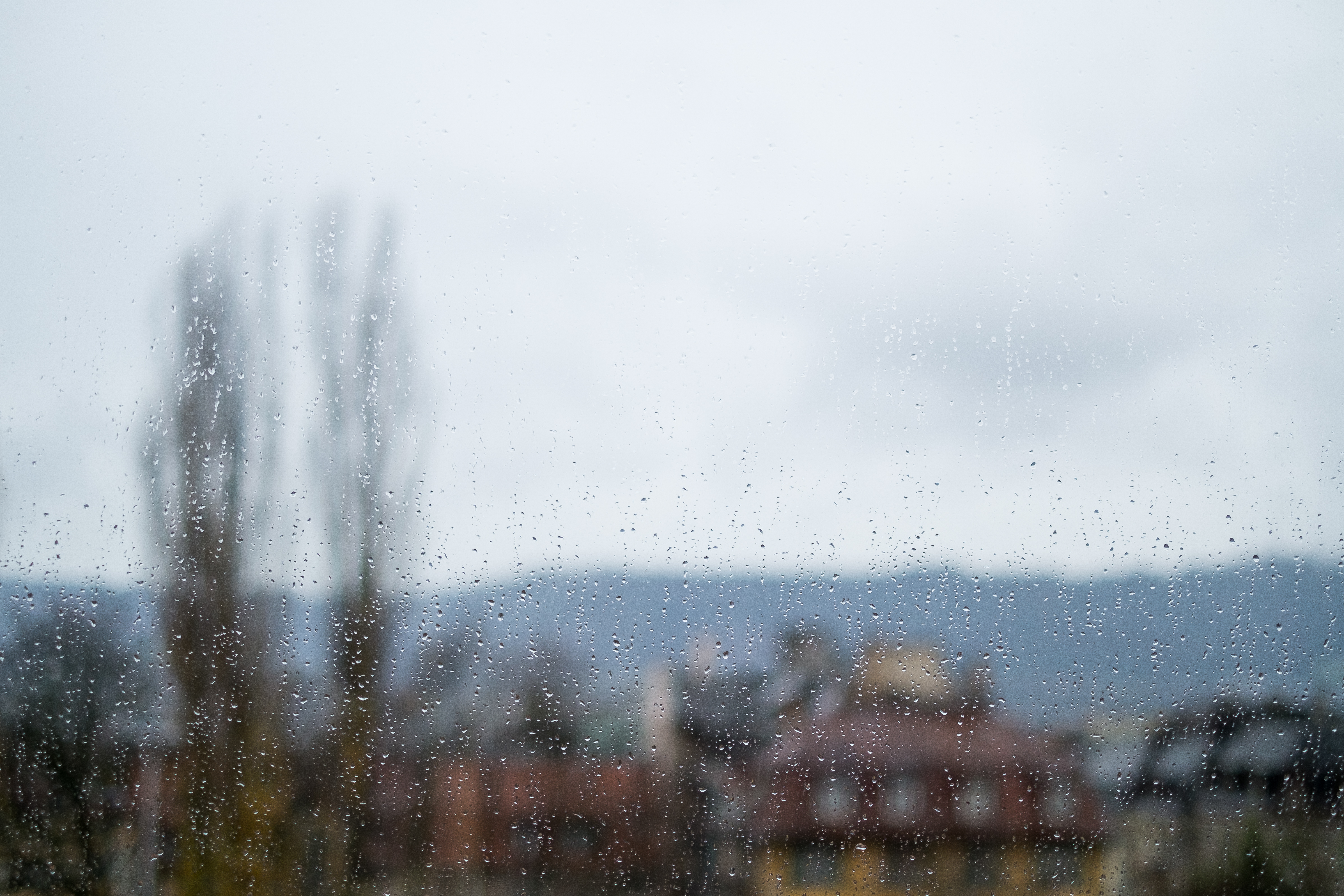 Zurich