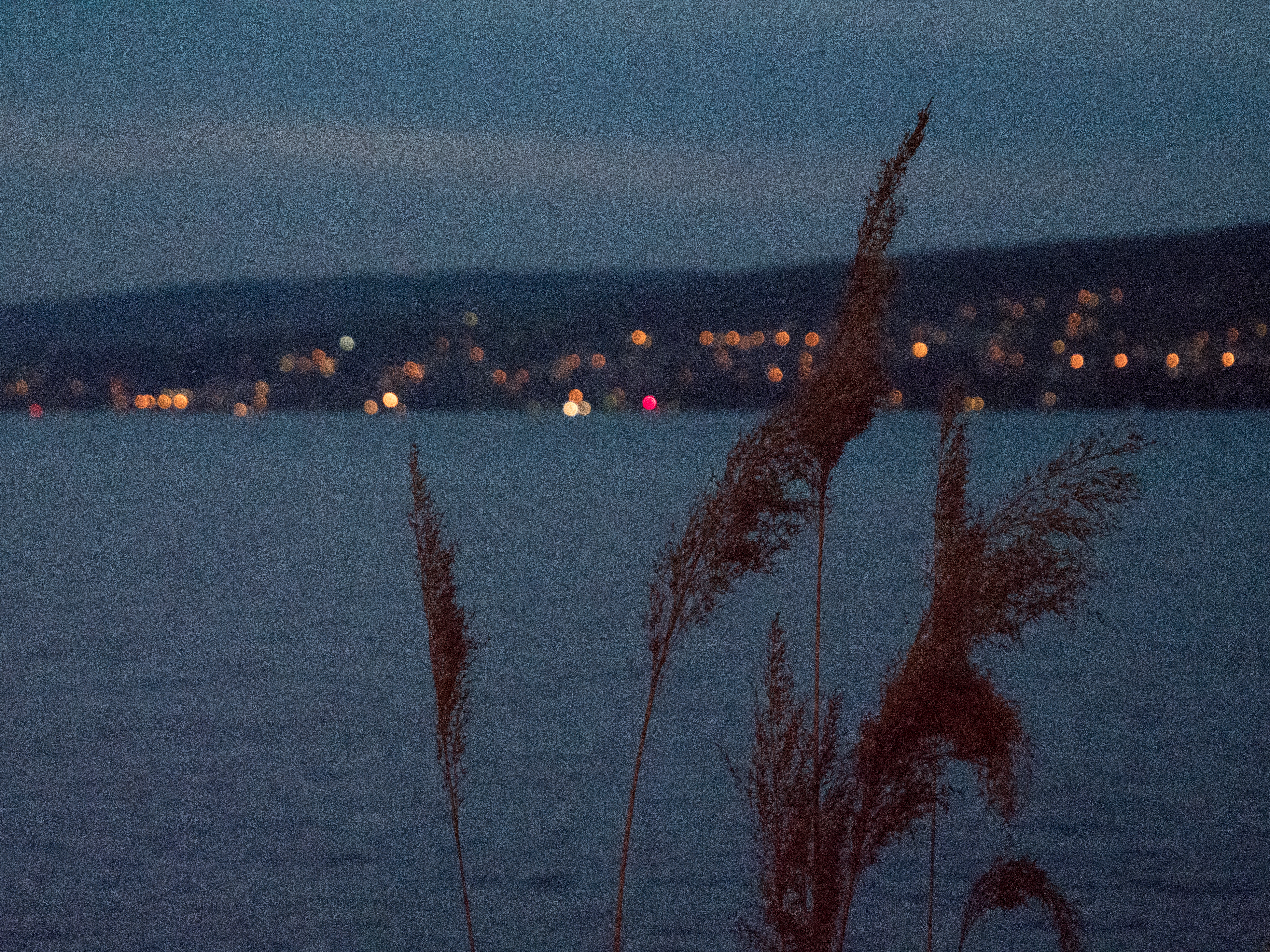 Zurich